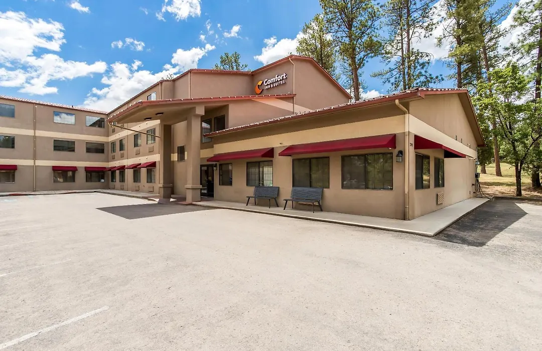 Comfort Inn & Suites Midtown-1