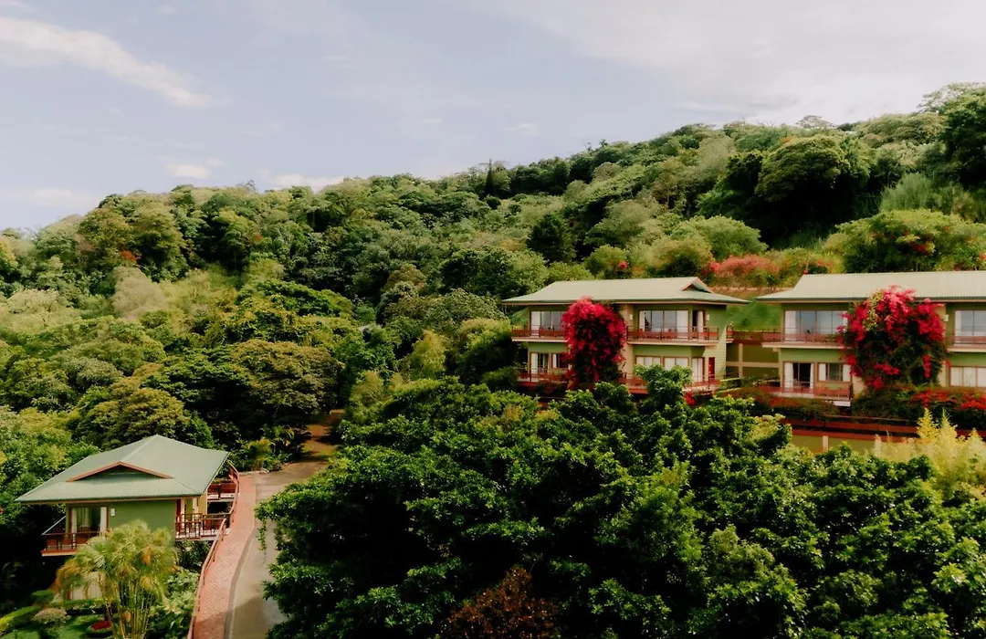 Ficus Sunset Suites-1