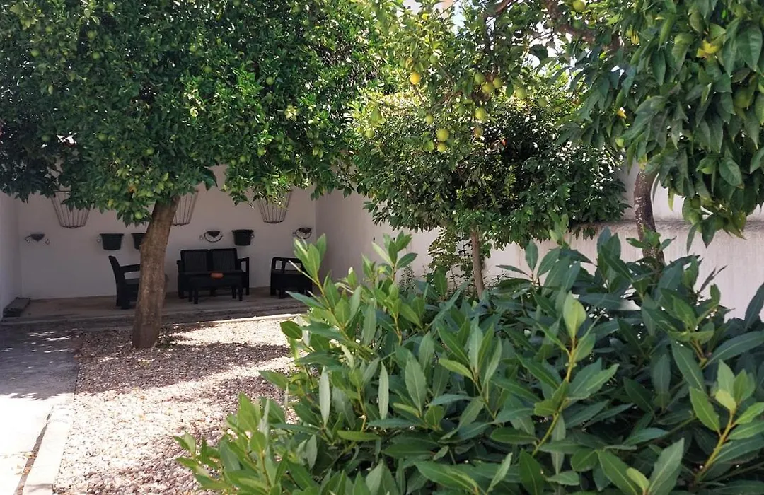 Casa Do Tio Ze-1