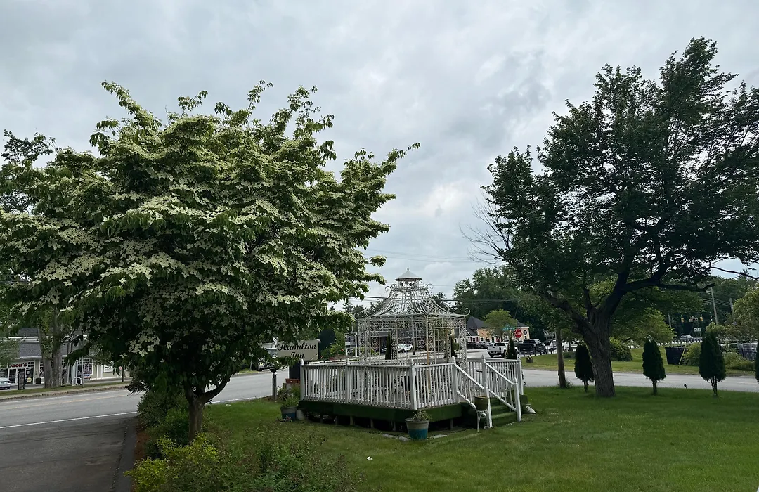 Hamilton Inn Sturbridge-1