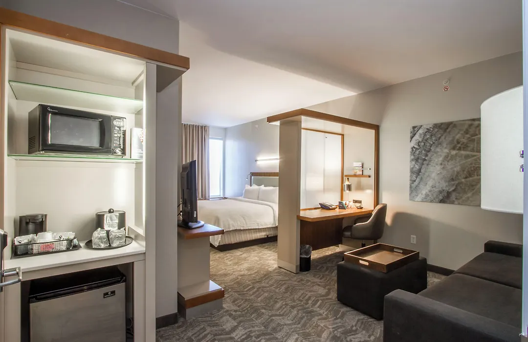 Springhill Suites By Marriott San Angelo-1
