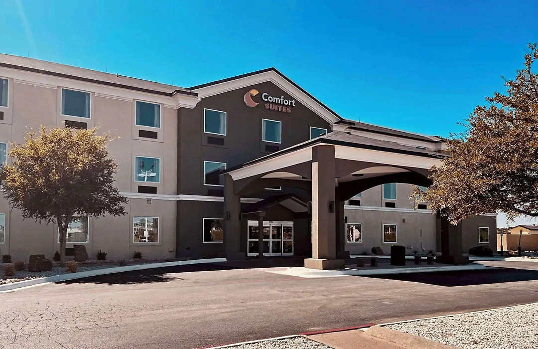 Comfort Suites San Angelo Near University-1