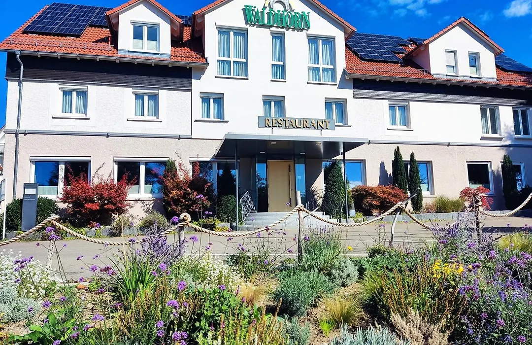 Hotel Waldhorn-1