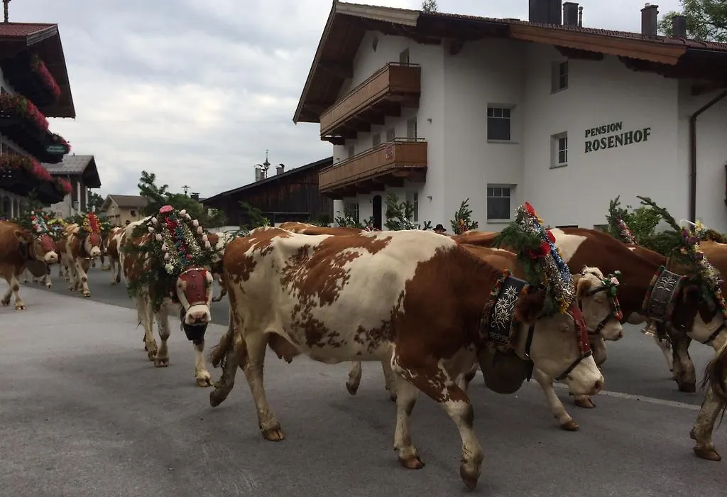 Pension Rosenhof-1