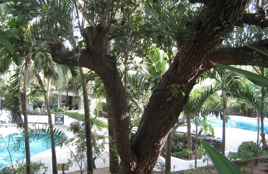 Scorpio Villas Resort-1