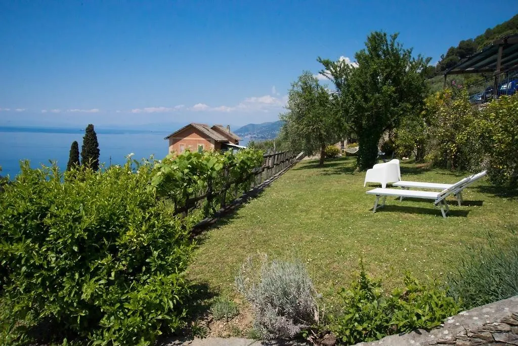 Le Clementine B&B-1