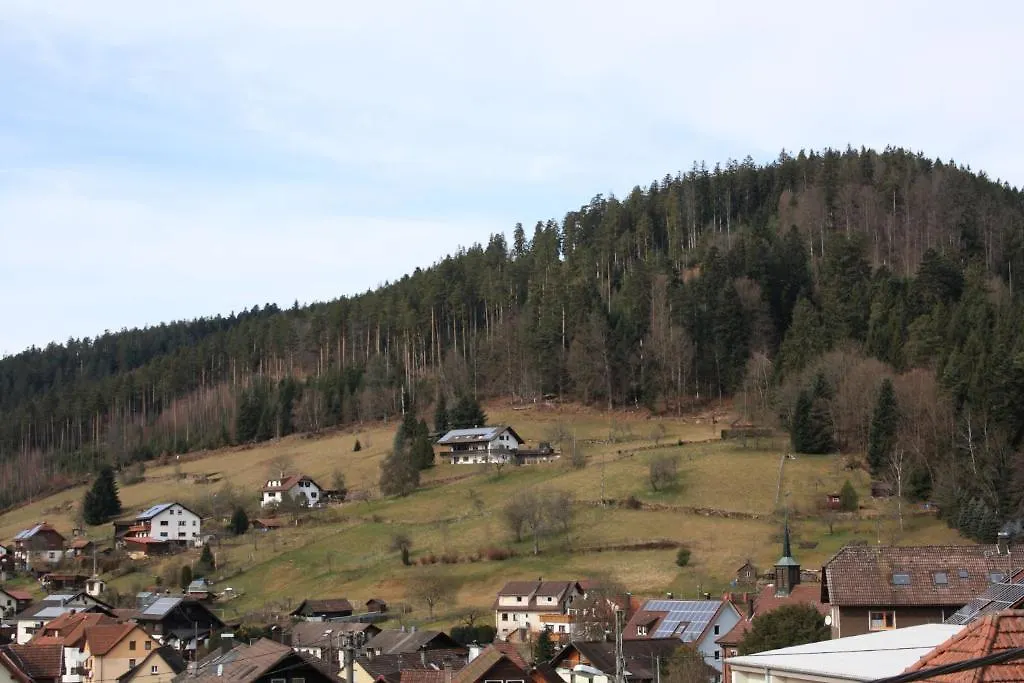 Schwarzwald-Gasthof Hirsch-1
