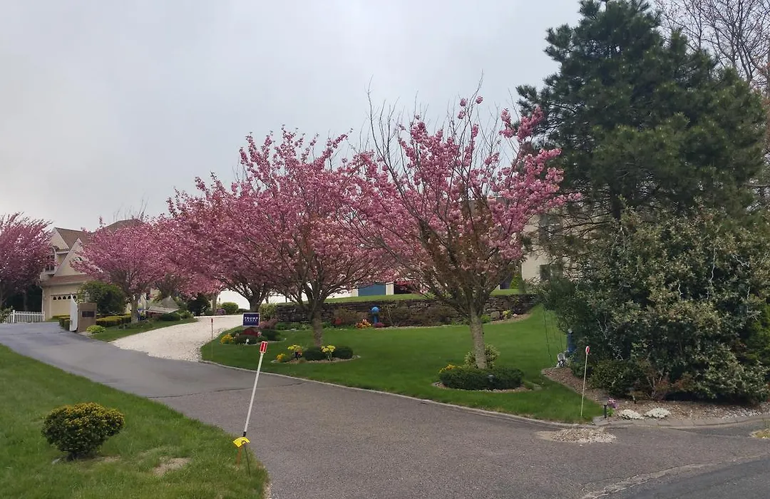 Inn 38 Oak Bluff Circle-1