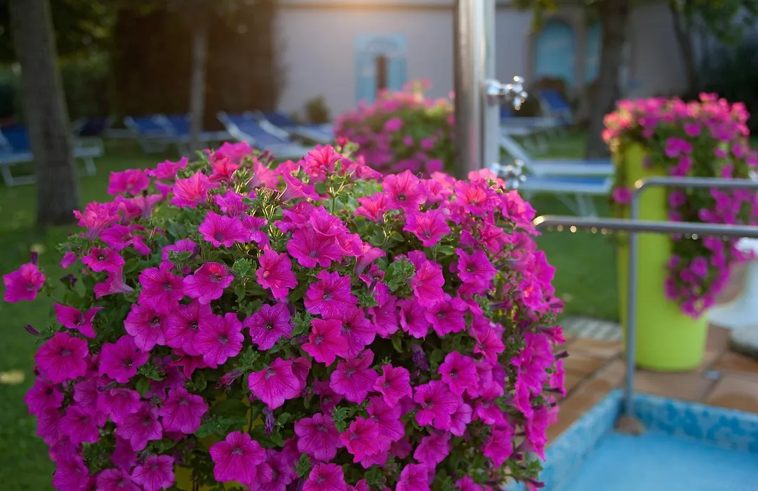 Hotel Terme Cristoforo-1