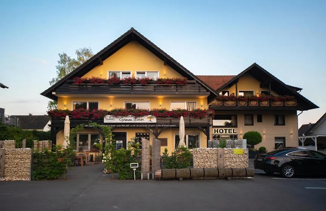Hotel Garni Zum Grünen Baum-1