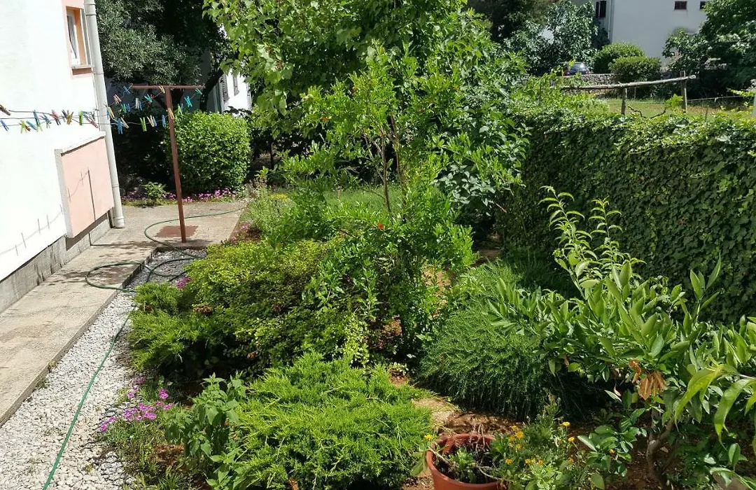 Guest House Dijana-1