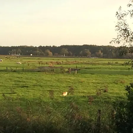 Haarlem 49-3