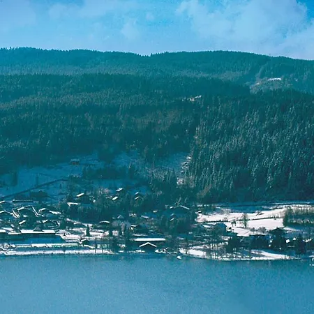Laptitevosgienne Vue Lac A Gerardmer !-2