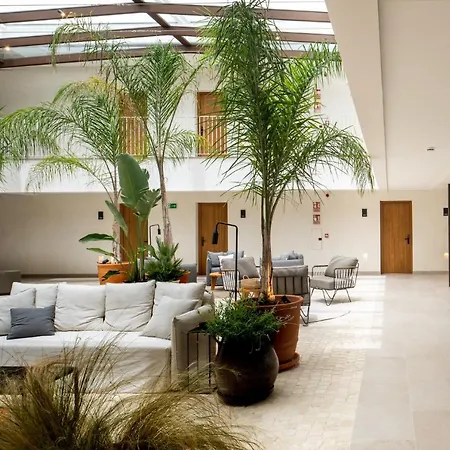 Hotel Porfirio Picota - Adults-2