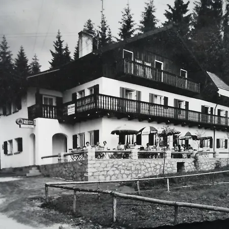 Hotel Waldhaus-2