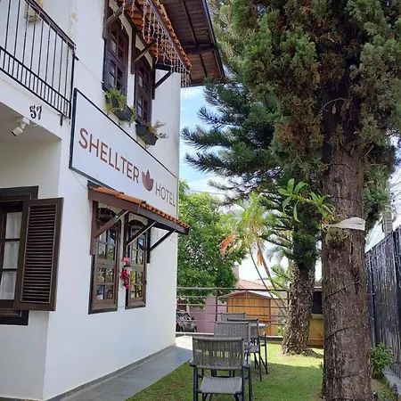 Shellter Hotel-2