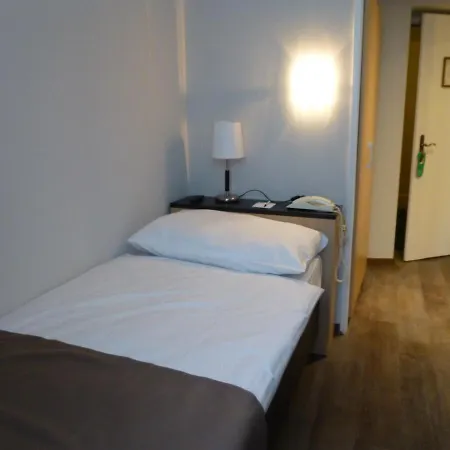 Hotel Des Alpes-3