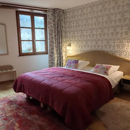 Hôtel Au Lion-3