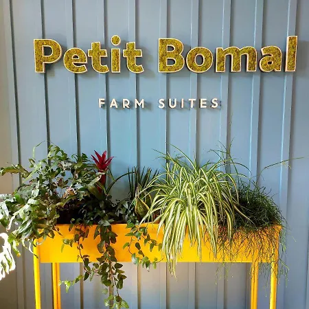 Les Suites De Petit Bomal-2