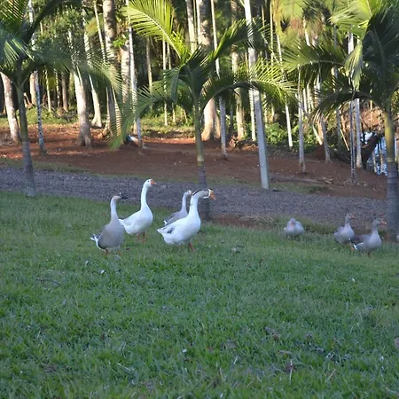 Pousada Di Venezia - Hotel Fazenda-2