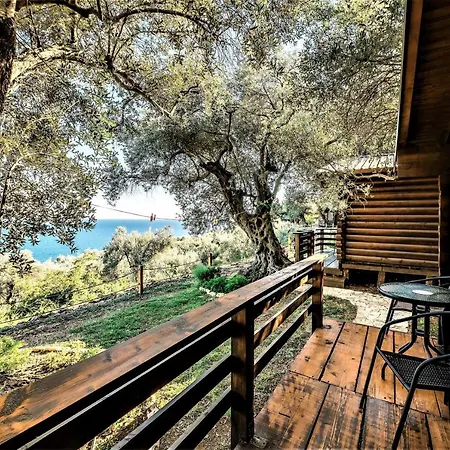 Holiday Park Olive Tree-2