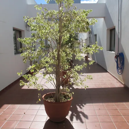 Hotel Avenida de Canarias-3