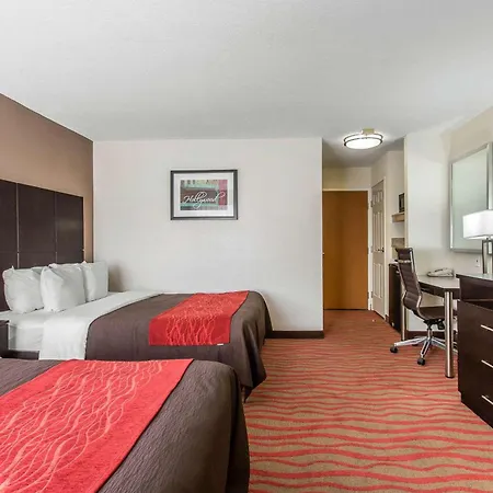 Comfort Inn Los Angeles Near Hollywood-3