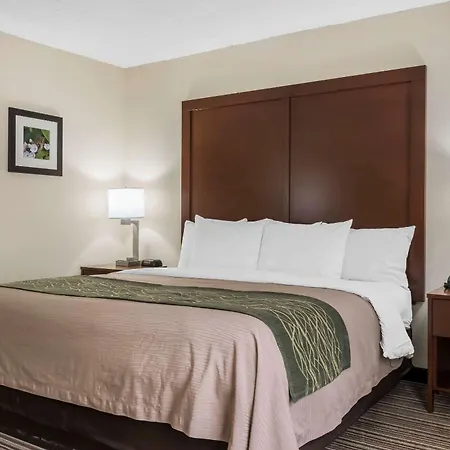 Comfort Inn - Pocono Mountains-2
