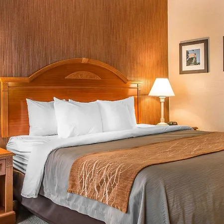 Hampton Inn Chelsea, Mi-2