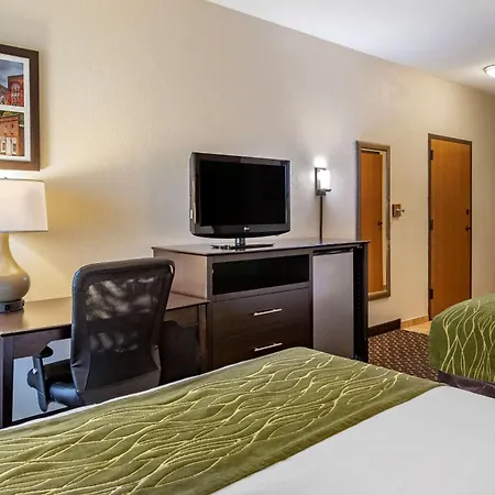 Comfort Inn Wings Stadium-3