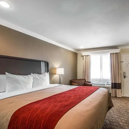 Quality Inn Downey-3