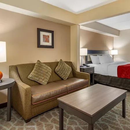 Comfort Suites Alpharetta-Roswell - Atlanta Area-2