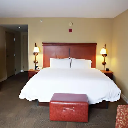 Hampton Inn Martin-3