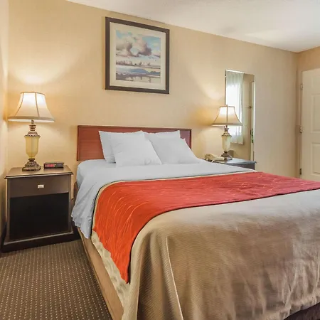 Comfort Inn On The Bay-3