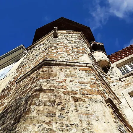 Maison au Loup - Superbe ancien hotel particulier du XVIe siècle au cœur de la vieille ville du Puy-2