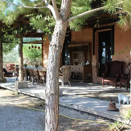 Beautiful Accommodation At The Heart Of Andalusia-3