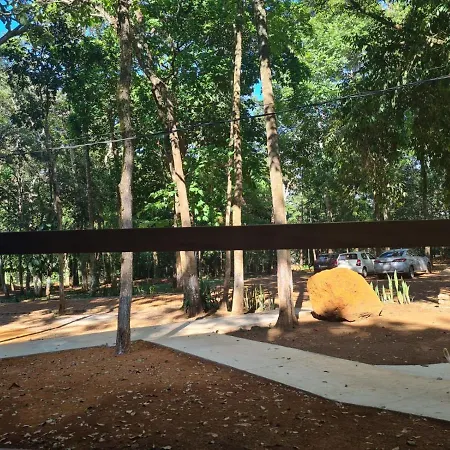 Bosque São Francisco-3