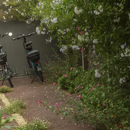 chambre d'hôte et gîte du jardin des corsaires-2