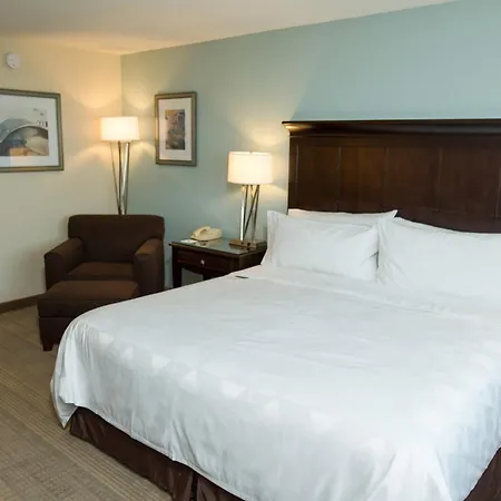 Holiday Inn Birmingham-Airport By Ihg-3