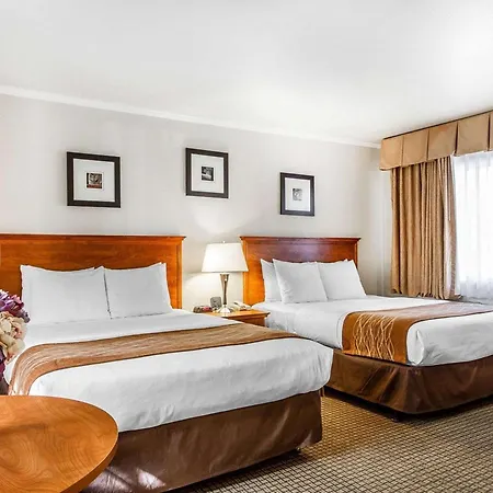 The Inn At 1252 Monterey-3