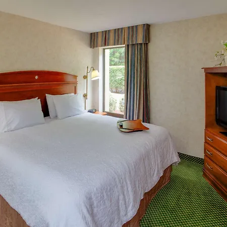 Hampton Inn By Hilton Chester South-3