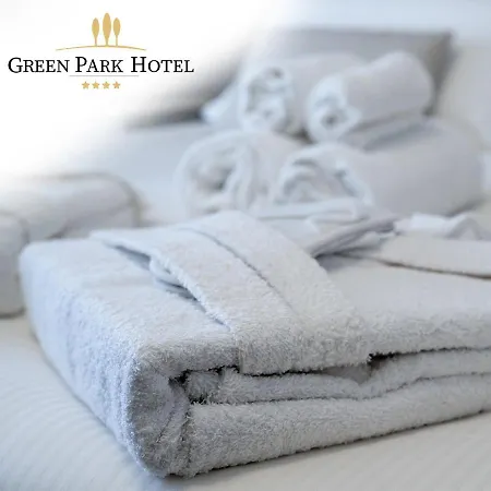 Green Park Hotel-3