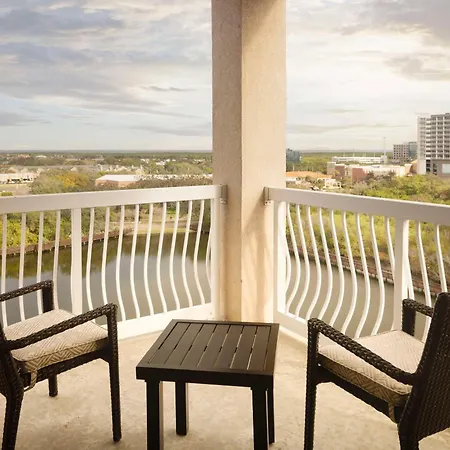 Hilton St. Petersburg Carillon Park-2