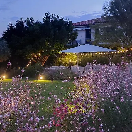 Aura Relais-2