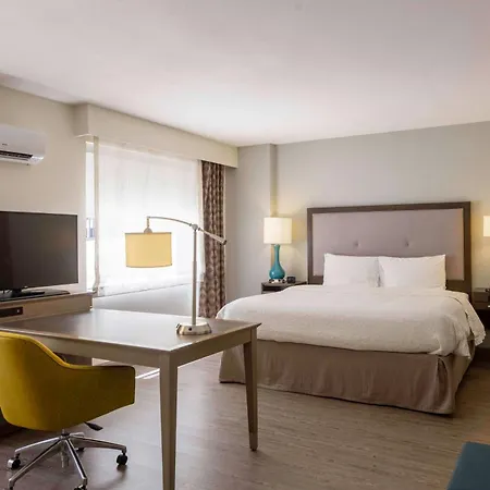 Hampton Inn & Suites Miami Wynwood Design District, Fl-3