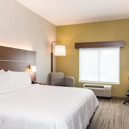 Holiday Inn Express Hotel & Suites Tampa-Usf-Busch Gardens By Ihg-3