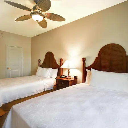 Homewood Suites By Hilton Charleston Airport/Convention Center-3