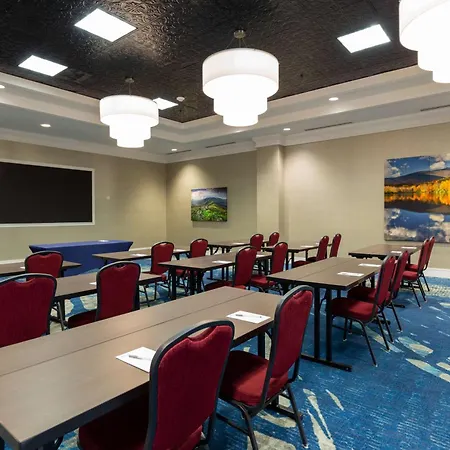 Hilton Garden Inn Asheville Downtown-2