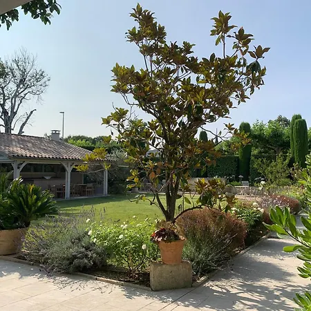 Residence Melody - Adult Only-3