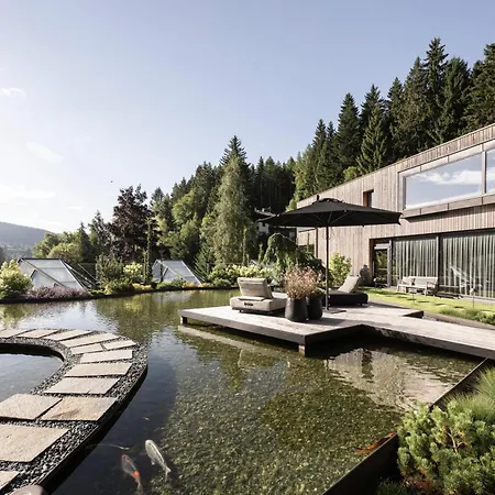 Viktoria Alpine Hideaway-3